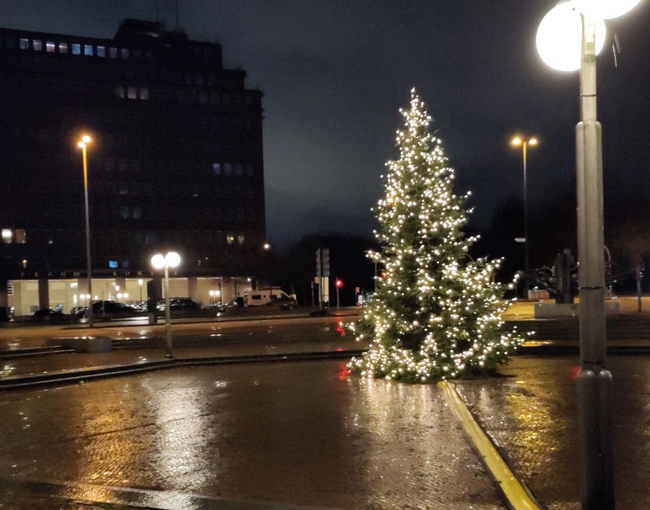 Christmas tree in the city of Hamburg